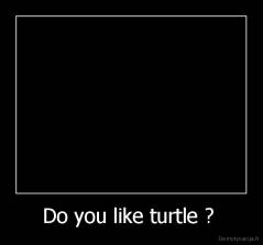 Do you like turtle ?  - 