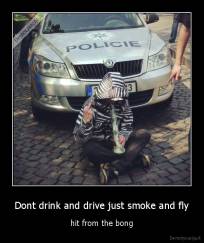 Dont drink and drive just smoke and fly - hit from the bong