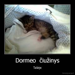Dormeo  čiužinys - Tašėje