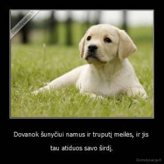 Dovanok šunyčiui namus ir truputį meilės, ir jis  - tau atiduos savo širdį.