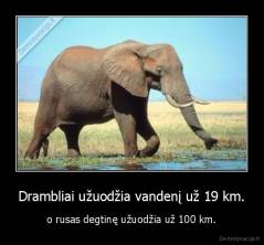 Drambliai užuodžia vandenį už 19 km. - o rusas degtinę užuodžia už 100 km.