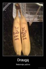 Draugą - Nelaimėje pažinsi