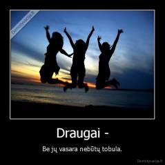 Draugai - - Be jų vasara nebūtų tobula.