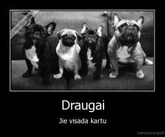 Draugai - Jie visada kartu