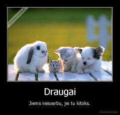 Draugai - Jiems nesvarbu, jei tu kitoks.