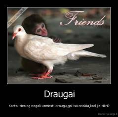 Draugai - Kartai tiesiog negali uzmirsti draugu,gal tai reiskia,kad jie tikri?