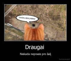 Draugai  - Niekada nepraeis pro šalį
