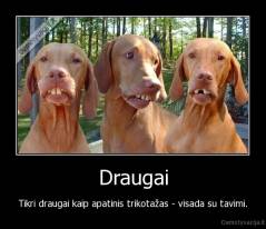 Draugai - Tikri draugai kaip apatinis trikotažas - visada su tavimi.