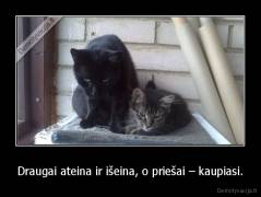 Draugai ateina ir išeina, o priešai – kaupiasi. - 