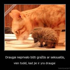 Draugai neprivalo būti gražūs ar seksualūs, - vien todėl, kad jie ir yra draugai 