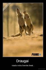 Draugai  - visada moka šventes švest .