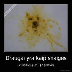 Draugai yra kaip snaigės - Jei apmyši juos - jie pranyks