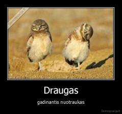 Draugas - gadinantis nuotraukas