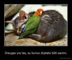 Draugas yra tas, su kuriuo drįstate būti savimi. - 