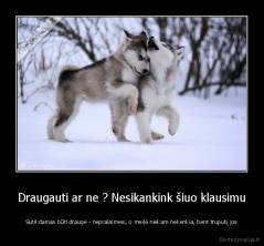 Draugauti ar ne ? Nesikankink šiuo klausimu - Sutikdamas būti drauge - nepralaimėsi, o meilė niekam nekenkia, bent truputį jos