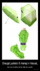 Draugė juokėsi iš manęs ir klausė, - kam man ta salota, bet kai užėjo lyti, suprato