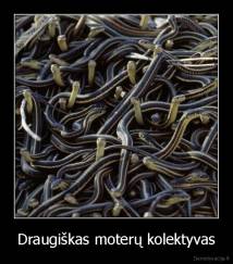 Draugiškas moterų kolektyvas - 