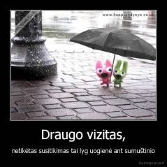 Draugo vizitas, - netikėtas susitikimas tai lyg uogienė ant sumuštinio