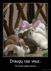 Draugų rasi visur.. - Tik turėk kažką bendro