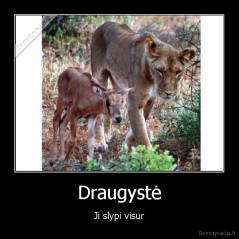 Draugystė - Ji slypi visur