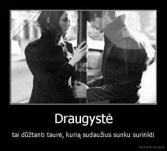 Draugystė - tai dūžtanti taurė, kurią sudaužius sunku surinkti