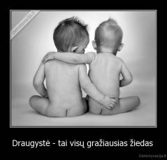 Draugystė - tai visų gražiausias žiedas  - 