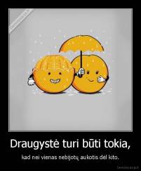 Draugystė turi būti tokia, - kad nei vienas nebijotų aukotis dėl kito.