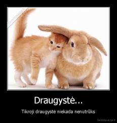 Draugystė... - Tikroji draugystė niekada nenutrūks