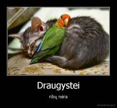 Draugystei - ribų nėra