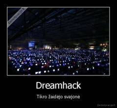 Dreamhack - Tikro žaidėjo svajonė