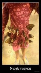 Drugelių magnetas - 