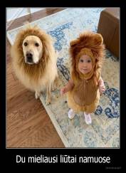 Du mieliausi liūtai namuose - 