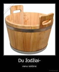 Du žodžiai- - viena reikšmė