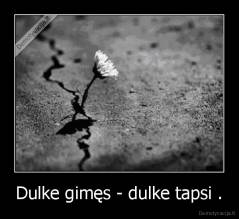 Dulke gimęs - dulke tapsi . - 