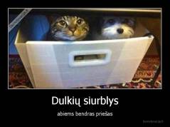 Dulkių siurblys - abiems bendras priešas