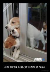 Duok durniui kelią, jis vis tiek jo neras.  - 