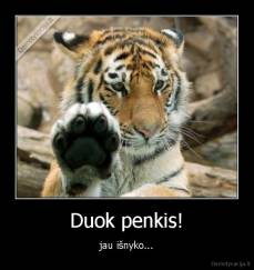 Duok penkis! - jau išnyko...