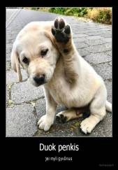 Duok penkis - jei myli gyvūnus