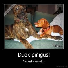 Duok pinigus! - Nemusk nemusk...
