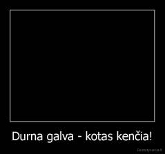 Durna galva - kotas kenčia! - 