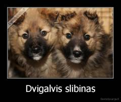 Dvigalvis slibinas - 
