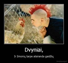 Dvyniai, - Ir žmonių tarpe atsiranda gaidžių