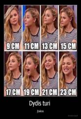 Dydis turi  - įtakos