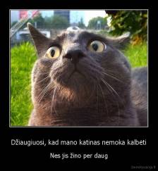Džiaugiuosi, kad mano katinas nemoka kalbėti - Nes jis žino per daug