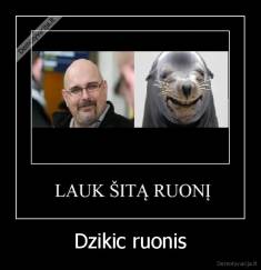 Dzikic ruonis - 
