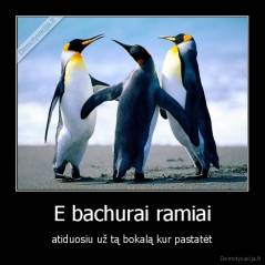 E bachurai ramiai - atiduosiu už tą bokalą kur pastatėt