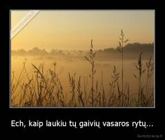Ech, kaip laukiu tų gaivių vasaros rytų... - 