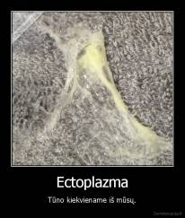 Ectoplazma - Tūno kiekviename iš mūsų.
