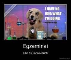 Egzaminai - Liko tik improvizuoti