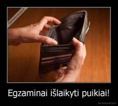 Egzaminai išlaikyti puikiai! - 